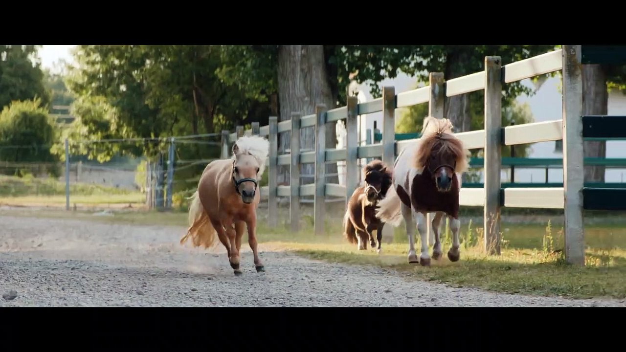 Immenhof Das große Versprechen Film