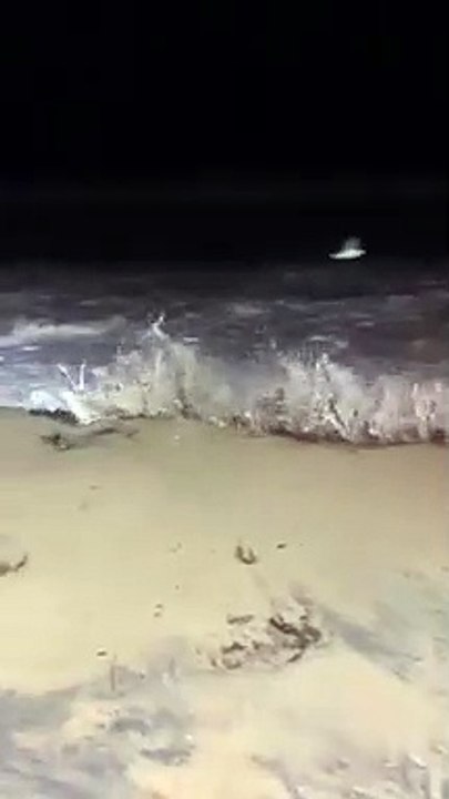 Surging waves at Thirroul. Video by Anthony Turner