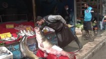 Elazığ'da sezonun son dev turna balığı yakalandı: 103 kilo