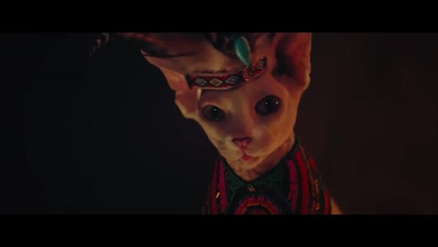 Shadow of the Tomb Raider : journée mondiale du chien