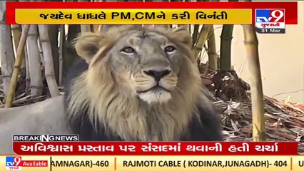 Retired district judge opposes radio collars around Lion's neck _ TV9News