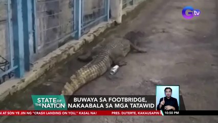 Buwaya sa footbridge sa Brazil, nakaabala sa mga tatawid | SONA