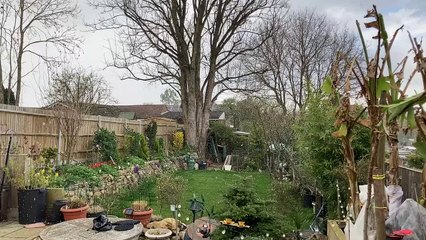 Snow falls in Maidstone home as Kent receives yellow weather warning