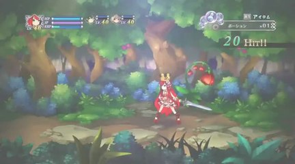 Battle Princess of Arcadias : Découverte des bases