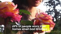 61% of Americans Won't Have Guests If They Think Their Home Doesn't Smell Good