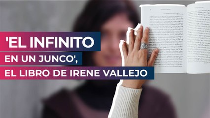 'El infinito en un junco', el libro de Irene Vallejo