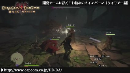 Dragon's Dogma : Dark Arisen : Conseils pour les pions