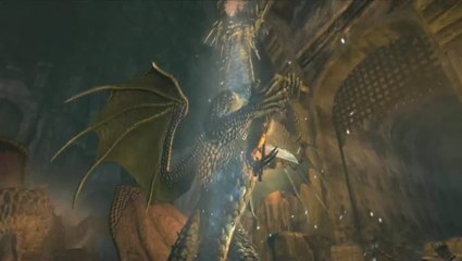 Dragon's Dogma : Dark Arisen : Le chevalier mystique