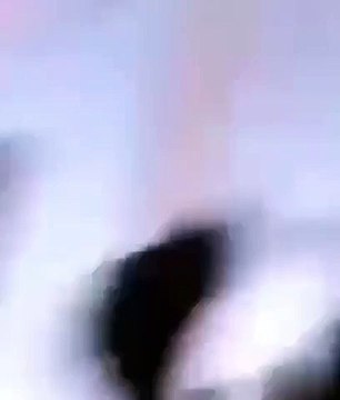 Graba balacera entre choferes de camiones en Juárez: La amiga le pide que no grabe