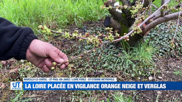 A la Une : Vigilance orange neige et verglas / Les aides à domicile créent leur syndicat / 6 communes de la Loire reçoivent des fleurs