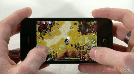 Zenonia 4 : Return of the Legend : Un modèle économique contraignant