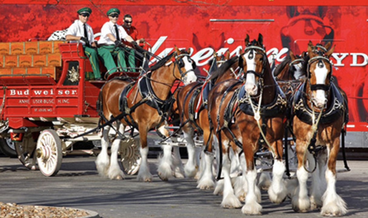 The FRIENDS Experience in Phoenix features 12 sets from the show, exclusive merchandise and photo opportunities - ABC15 Digital