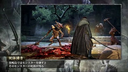 Dragon's Dogma : Dark Arisen : Les coulisses, volume 2