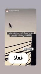 شيرين تشوق جمهورها بمقطع من أغنيتها الجديدة
