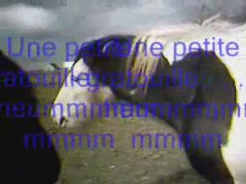 Video 1