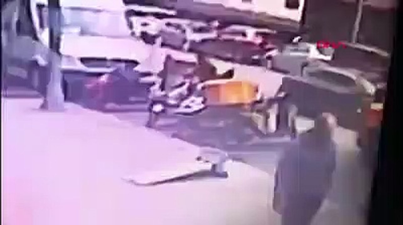 Kağıt toplayıcısı gibi gelip mazgal çaldılar