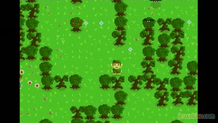 Evoland : L'évolution du jeu vidéo