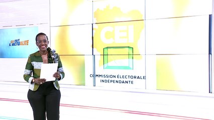 Ça fait l'actualité : insertion des personnes en situation de handicap dans le processus électoral