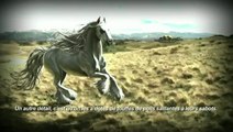 Le Seigneur des Anneaux Online : Les Cavaliers du Rohan : Montures de guerre