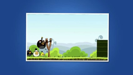Angry Birds : Les zozios débarquent sur Facebook