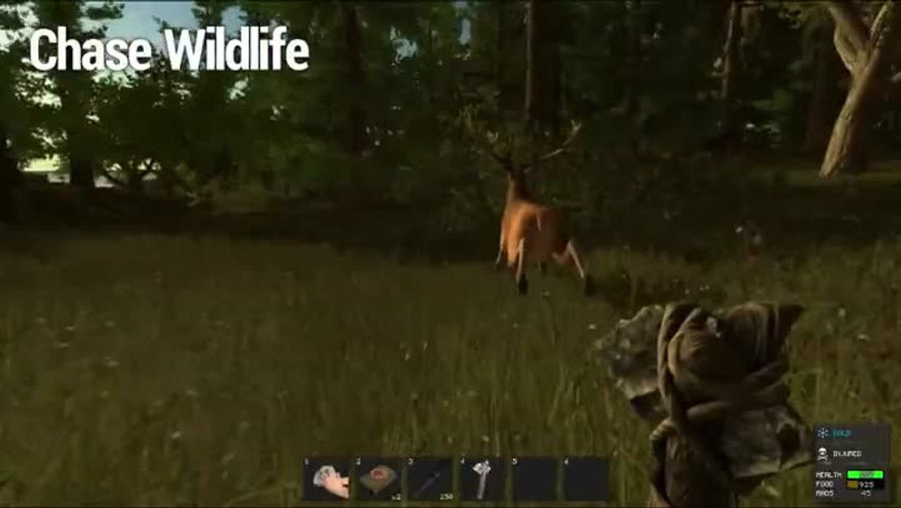 Rust : Vos premiers pas