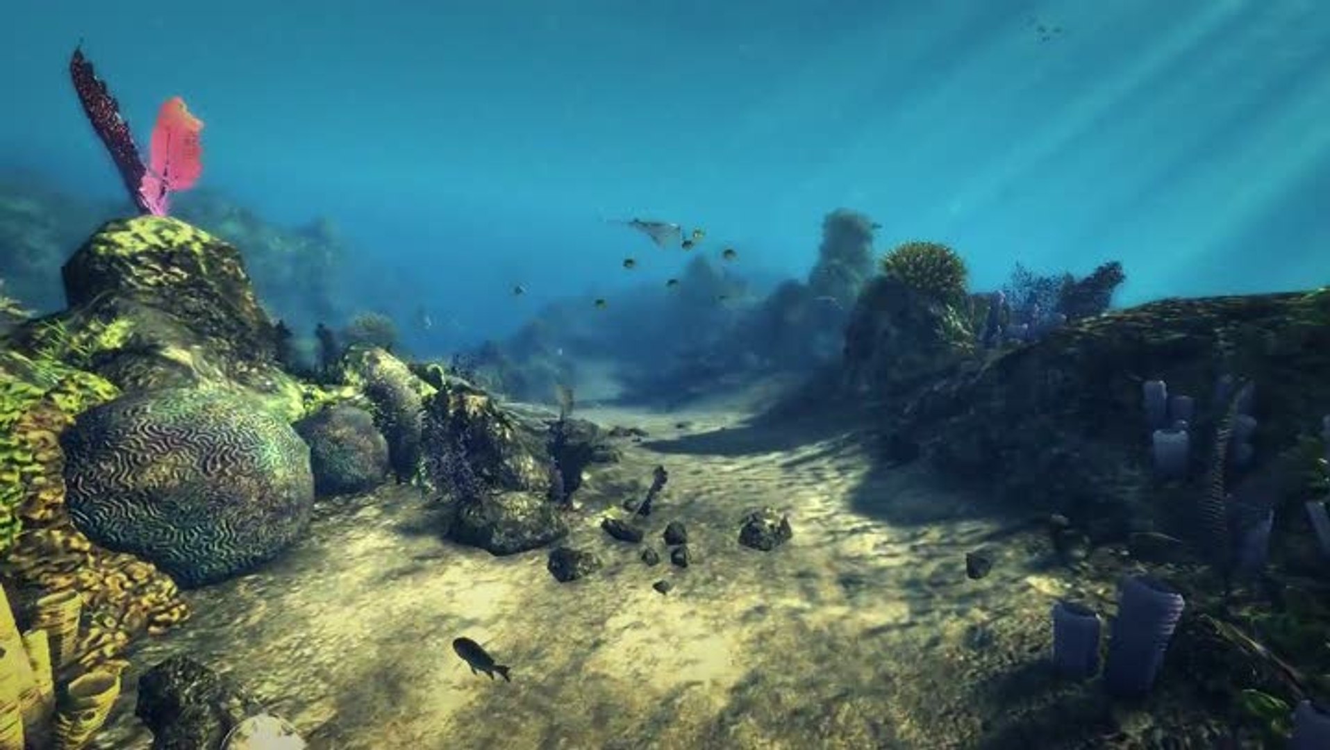 ⁣Depth Hunter : Premier trailer