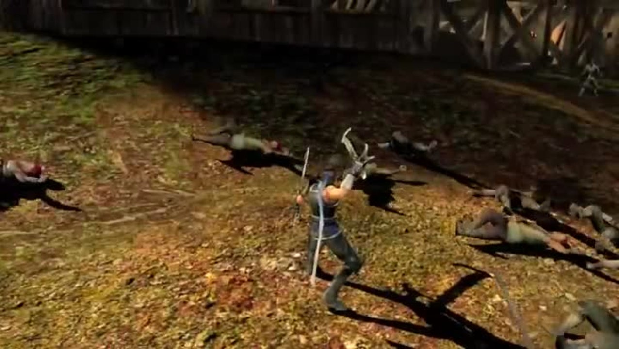 Dynasty Warriors 8 : Yue Jin