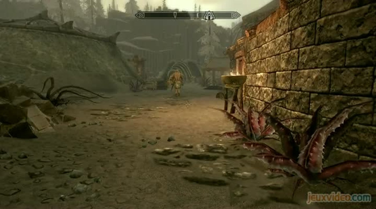 The Elder Scrolls V : Skyrim - Dragonborn : 1/2...