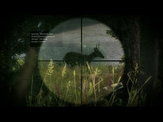 The Hunter 2014 : Premier coup de fusil