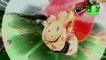 Dragon Ball Z for Kinect : Sangoku vs Nappa