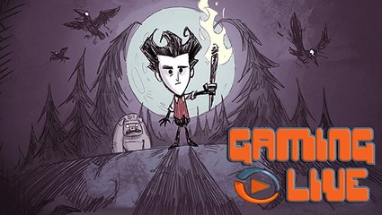 Don't Starve : Ton univers impitoyable