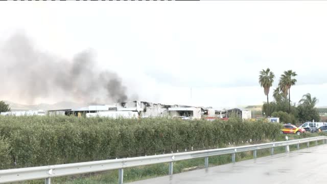 Un trabajador muerto y tres heridos en la explosión de una nave incubadora de huevos en Morón de la Frontera, Sevilla