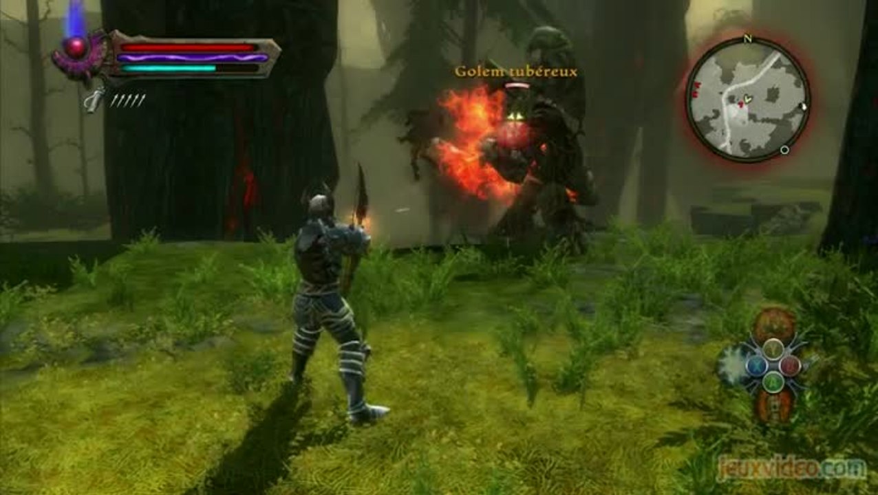 Les Royaumes d'Amalur : Reckoning - La Légende de Kel le Mort : Un golem résistant