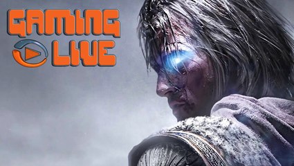 La Terre du Milieu : L'Ombre du Mordor : 1/3 : Présentation générale