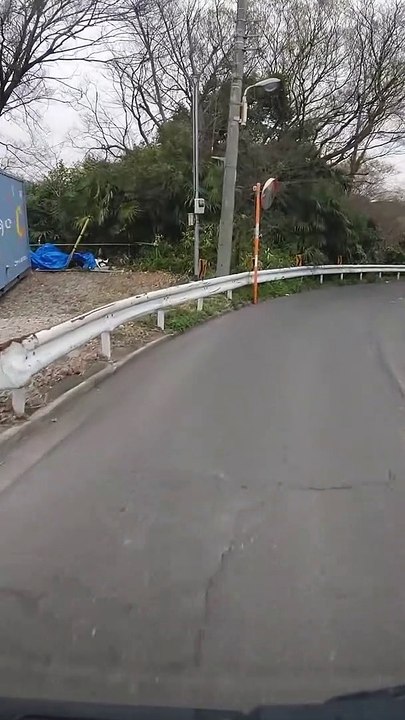 【桜2022】東京都清瀬市柳瀬川沿いの桜並木【台田運動公園】