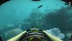 World of Diving : Plongée subtropicale
