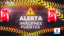 Exigen justicia para perritos atropellados con camión de carga en Querétaro