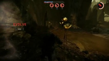 Evolve : Présentation de Caira