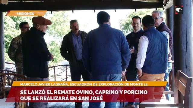 Se lanzó el remate ovino, caprino y porcino que se realizará en San josé