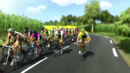Tour de France 2014 : La tête dans le guidon