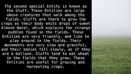 Level 10 "Field of Wheat" [The Backrooms]