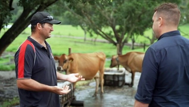Sunshine coast dairy farm boosts production using dunder