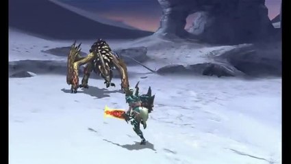 Monster Hunter 4 Ultimate : Survol du jeu