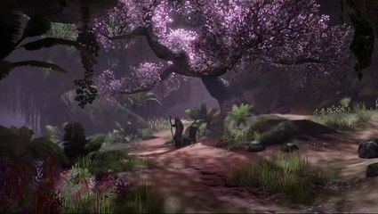 The Elder Scrolls Online : Les voix de Tamriel