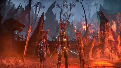 The Elder Scrolls Online : Dragonstar Arena