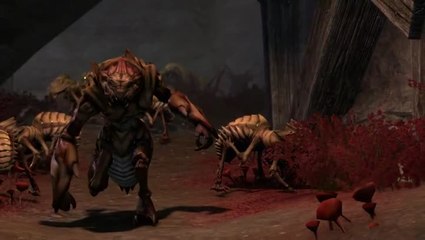 The Elder Scrolls Online : Kwama