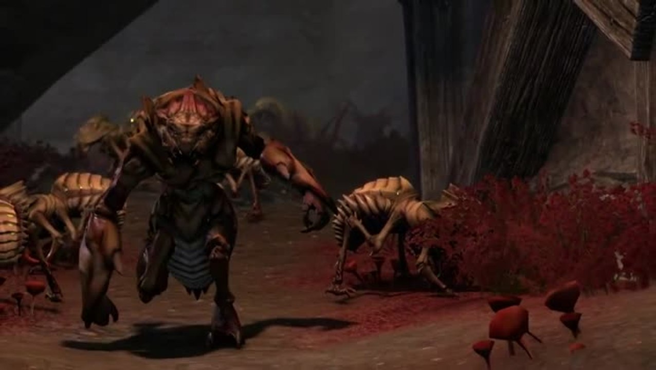 The Elder Scrolls Online : Kwama