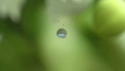 Monster Hunter Online : Vive le muguet