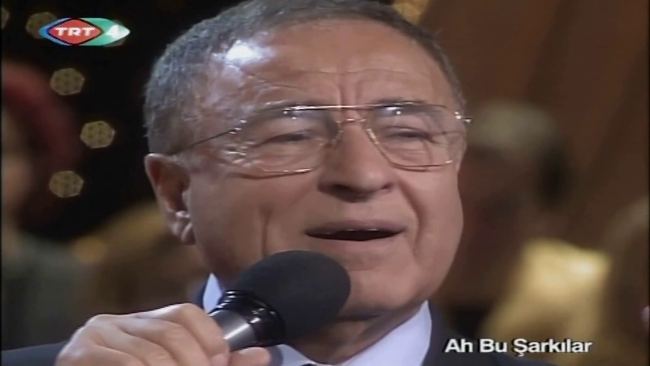 Yaşar Özel / Hani yosun rengi gözlerin olacaktı