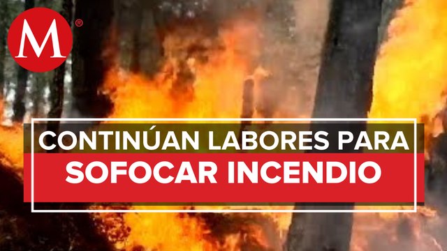 Más de 400 brigadistas trabajan para combatir el fuego en la Sierra de Santiago